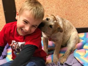 Meet the Six-Year-Old Who’s Saving Shelter Dogs