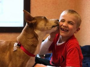 Meet the Six-Year-Old Who’s Saving Shelter Dogs