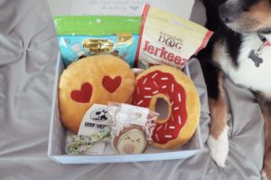 The Dapper Dog Box Review + Interview