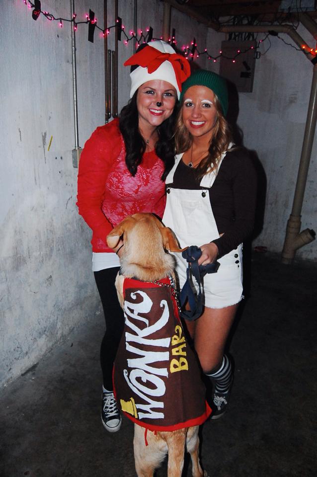 The 6 Best DIY Halloween Costumes For You and Your Dog 