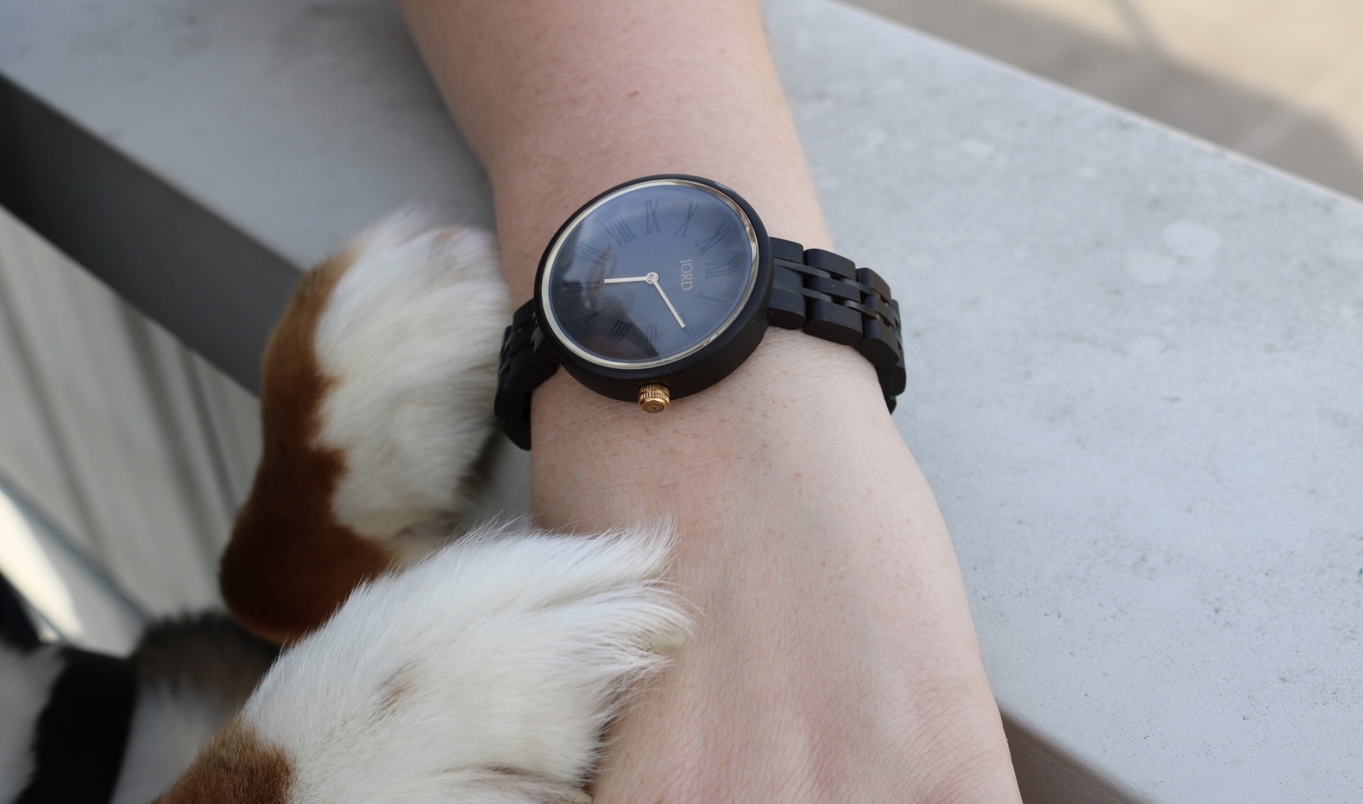 It’s Time for a New Watch, Dog The Bark Blogger