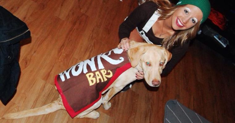 The 6 Best DIY Halloween Costumes For You and Your Dog