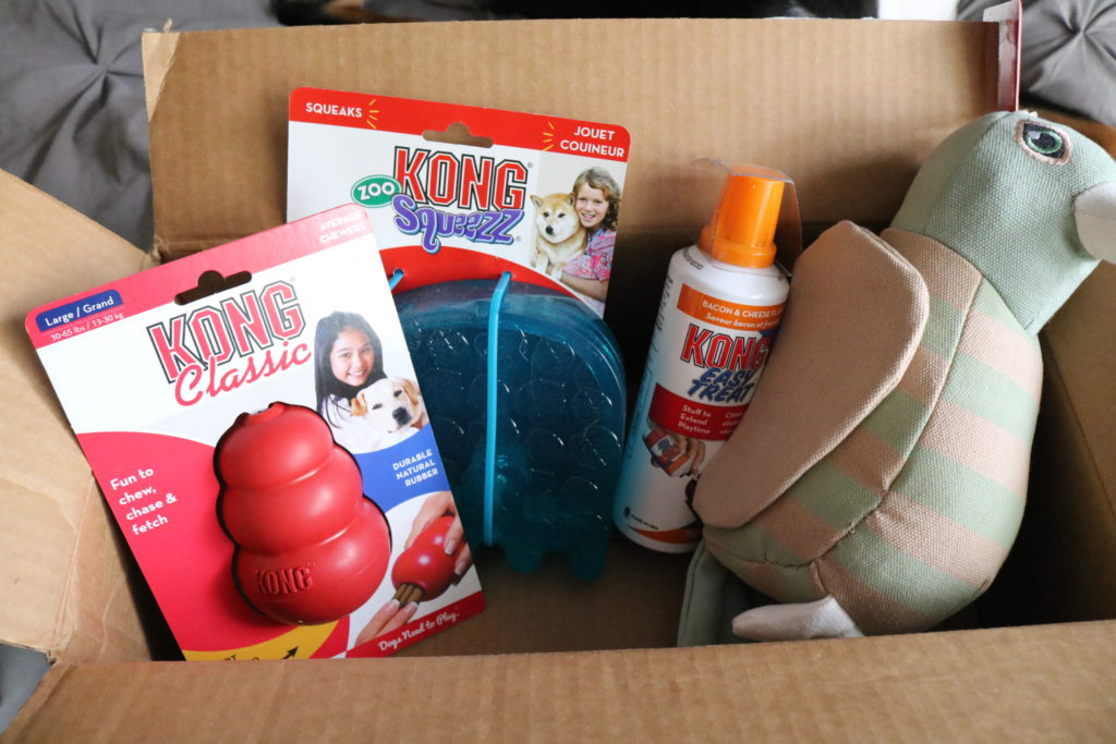 Kong Box Review - The Bark Blogger