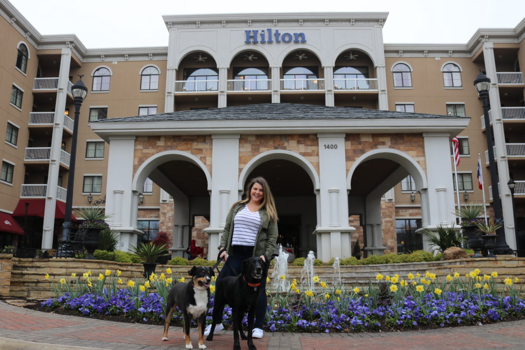 My DogFriendly Staycation at the Hilton Dallas/Southlake Town Square My DogFriendly Staycation at the Hilton Dallas/Southlake Town Square