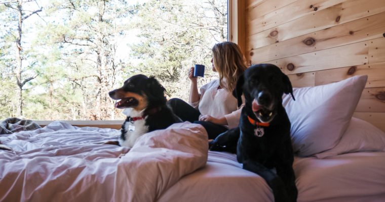 Our Dog-Friendly Getaway with Getaway House