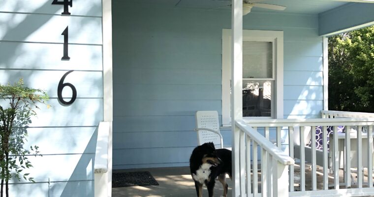 Our Dog-Friendly + Dog Themed Stay in Fredericksburg, TX