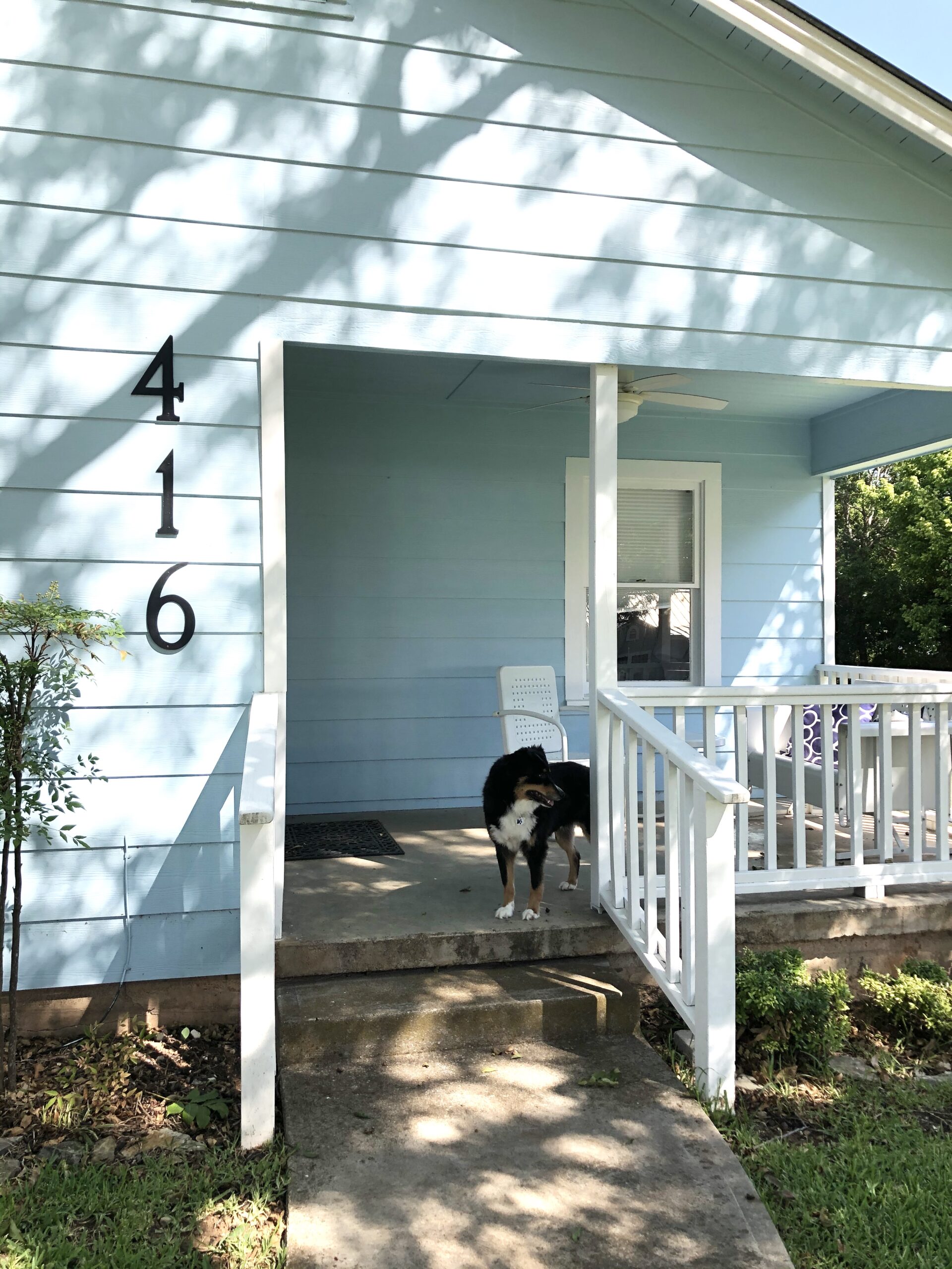 Our DogFriendly + Dog Themed Stay in Fredericksburg, TX The Bark Blogger