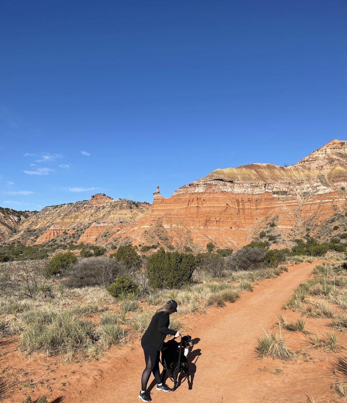 our-dog-friendly-weekend-trip-to-amarillo-the-bark-blogger